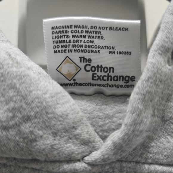 Thunderbird Gray Men's Hoodie - Picture 4 of 11